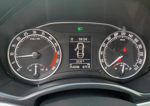 Skoda Octavia cena 33900 przebieg: 257000, rok produkcji 2010 z Radom małe 466